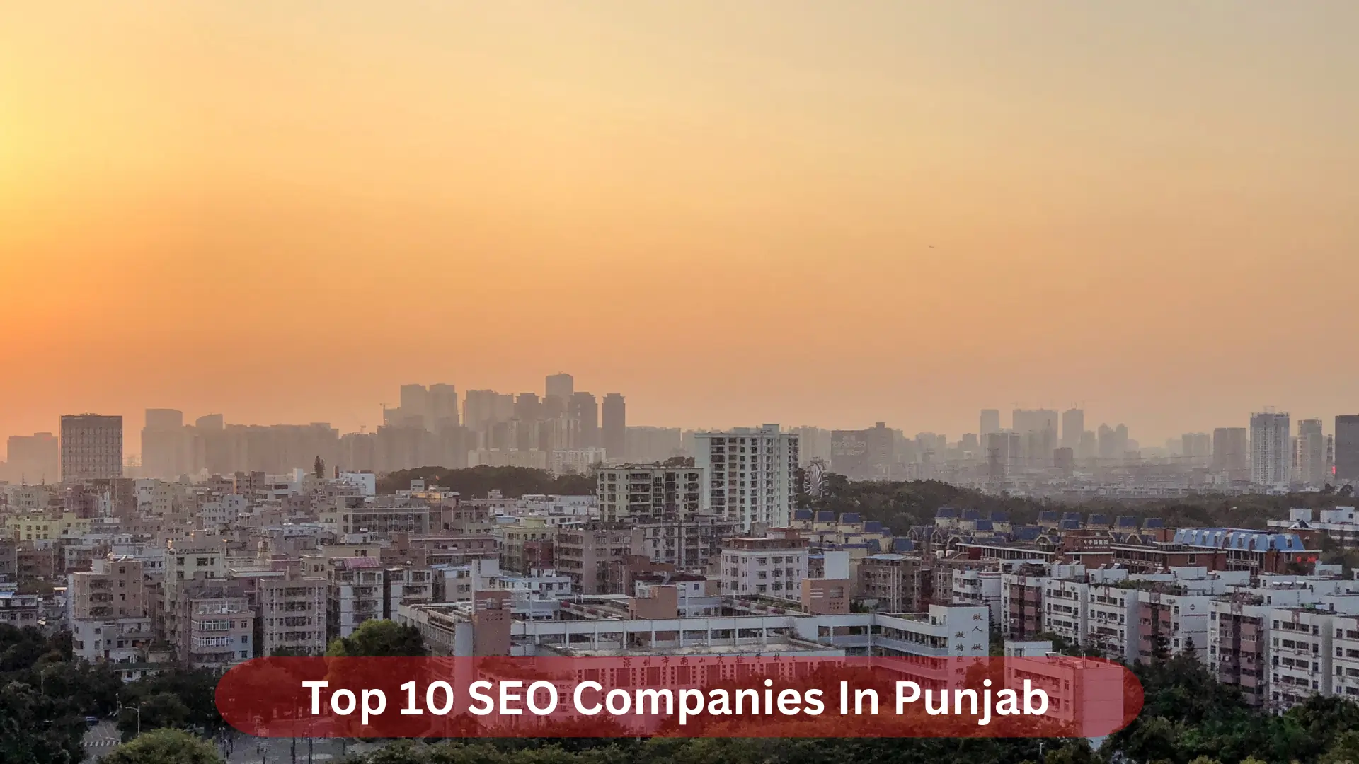 SEO Companies In Punjab