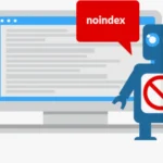 What is a Noindex Tag?